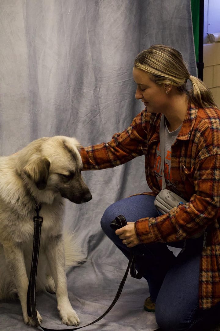 Students' Best Friend